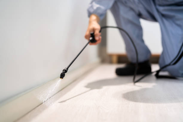 Licensed Pest Control service in Capac, MI - Show Me Pest Control