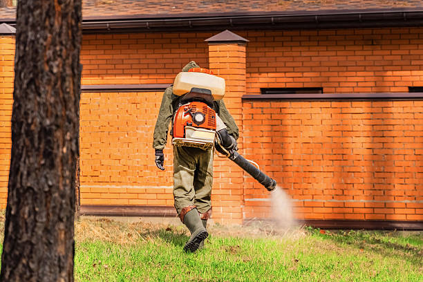 Bed Bug Clearance Verification and Documentation in Capac